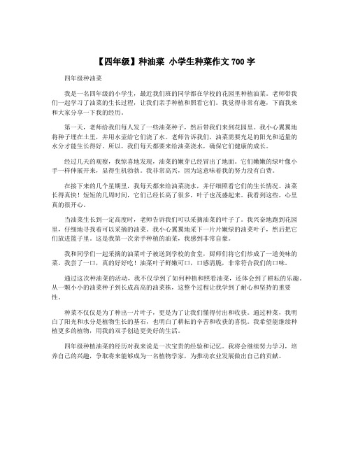 【四年级】种油菜 小学生种菜作文700字