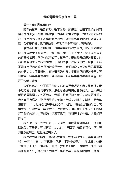 我的青春我的梦作文三篇