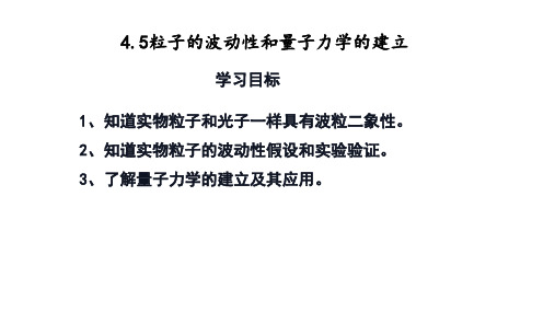 粒子的波动性和量子力学的建立课件-高二物理人教版(2019)选择性必修第三册