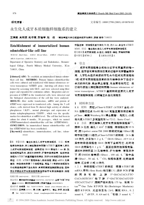 永生化人成牙本质细胞样细胞系的建立