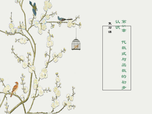 代数式与函数的初步认识复习