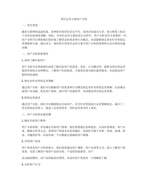 项目运营方案用户分析