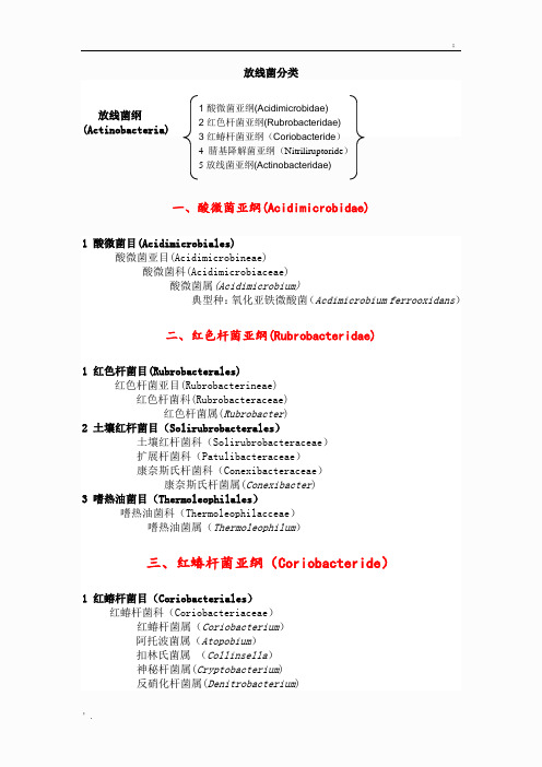 放线菌分类-完整