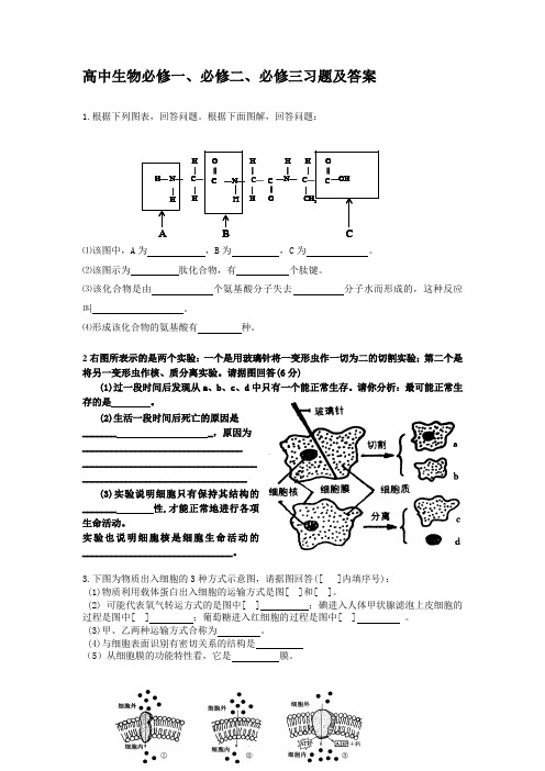 高中生物必修一、必修二、必修三习题及答案