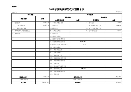 2019年度民政部门收支预算总表