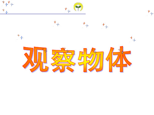 最新整理二年级上册数学课件-6.8 整理与提高(数学广场-从不同方向观察物体)沪教版 (共12张)