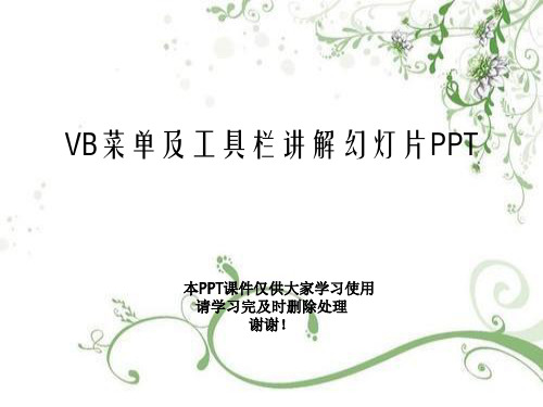 VB菜单及工具栏讲解幻灯片PPT