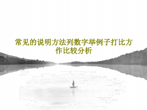 常见的说明方法列数字举例子打比方作比较分析共19页文档