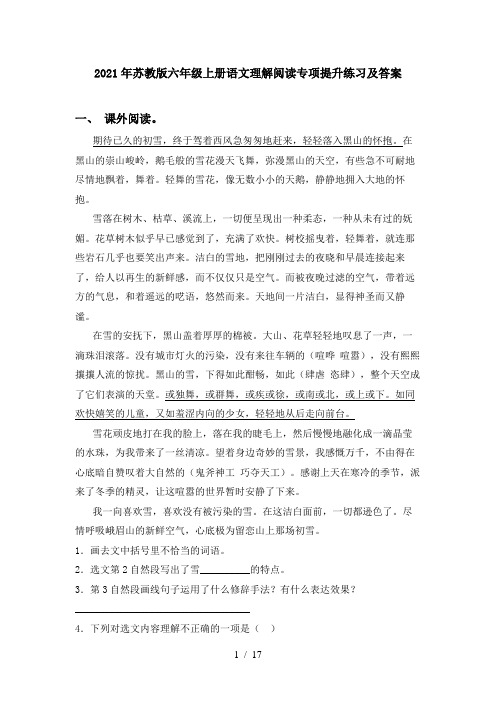 2021年苏教版六年级上册语文理解阅读专项提升练习及答案