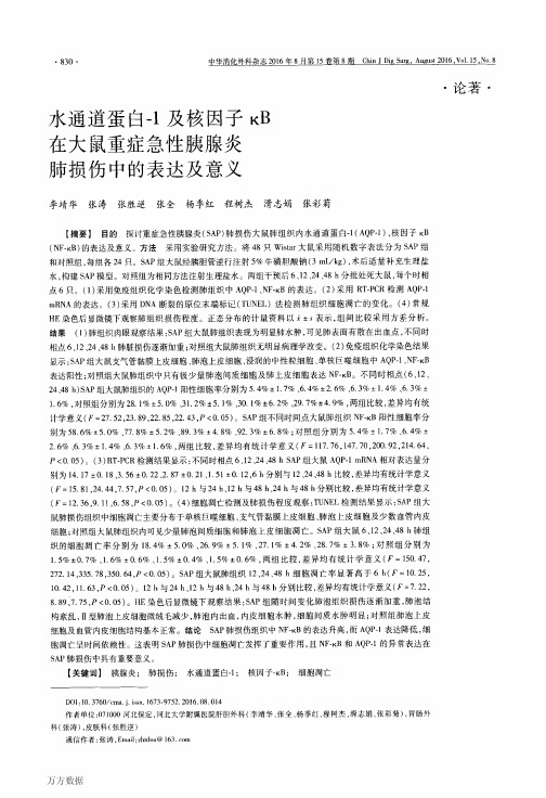 水通道蛋白-1及核因子κB在大鼠重症急性胰腺炎肺损伤中的表达及意义要点