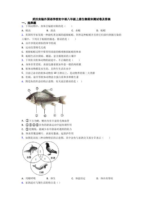 武汉实验外国语学校初中部八年级上册生物期末测试卷及答案