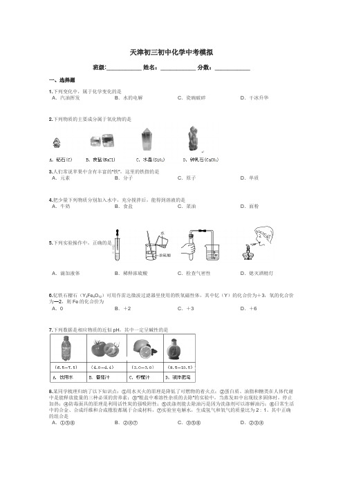 天津初三初中化学中考模拟带答案解析
