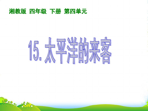 四年级语文下册 太平洋的来客课件 湘教