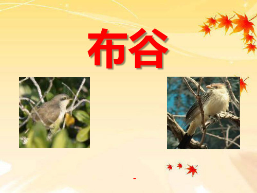 苏少版三年级音乐下册《布谷》-课件ppt下载