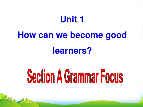 新目标英语九年级Unit1-grammar focus-课件