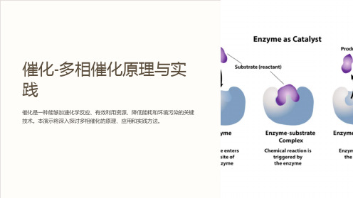 催化-多相催化原理与实践