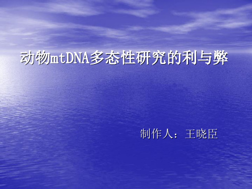 mtDNA多态性研究