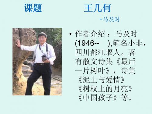 七年级语文上册_王几何_课件
