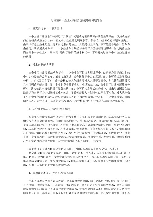 对目前中小企业可持续发展战略的问题分析