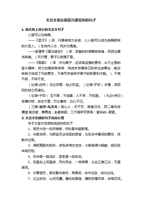 文言文表达很高兴遇见你的句子