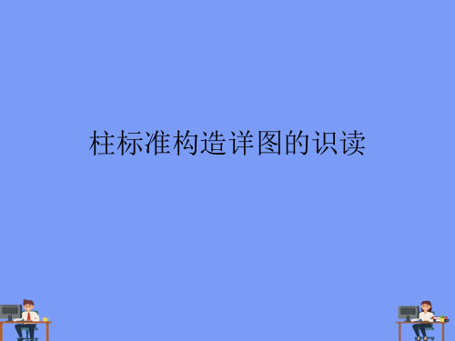 柱标准构造详图的识读完美版PPT