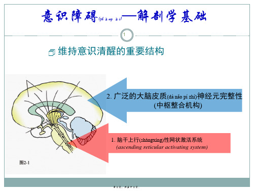 医学专题神经病学总论剖析