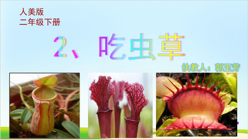 二年级下册美术课件-吃虫草 人美版(2014秋) (共14张PPT)