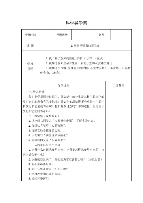 21蚕卵里孵出的新生命