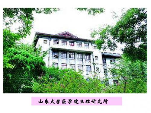 山东大学医学院生理研究所ppt