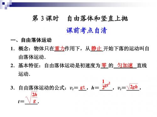 第三节 自由落体和竖直上抛