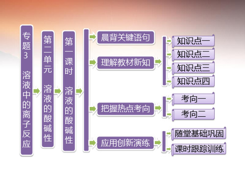 【三维设计】高中化学 第一部分 专题3 第二单元 第一课时 溶液的酸碱性课件 苏教版选修4