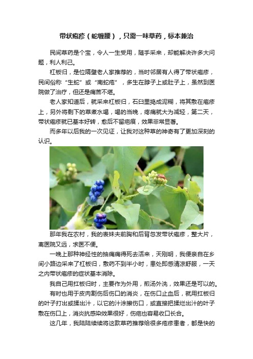 带状疱疹（蛇缠腰），只需一味草药，标本兼治