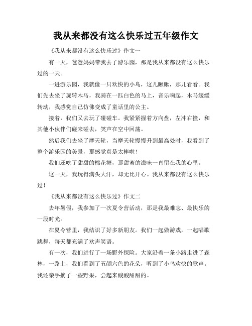 我从来都没有这么快乐过五年级作文