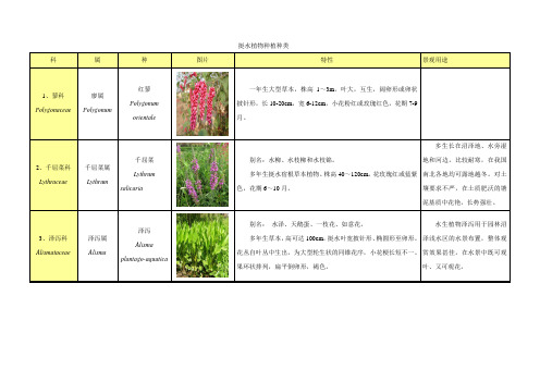 常用挺水植物特性及作用