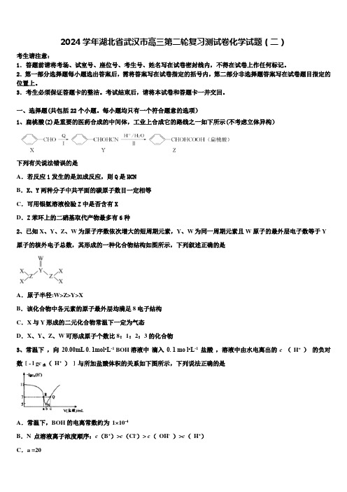 2024学年湖北省武汉市高三第二轮复习测试卷化学试题(二)含解析