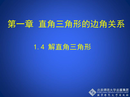 数学北师大版九年级下册《回顾与思考》课件公开课(10)