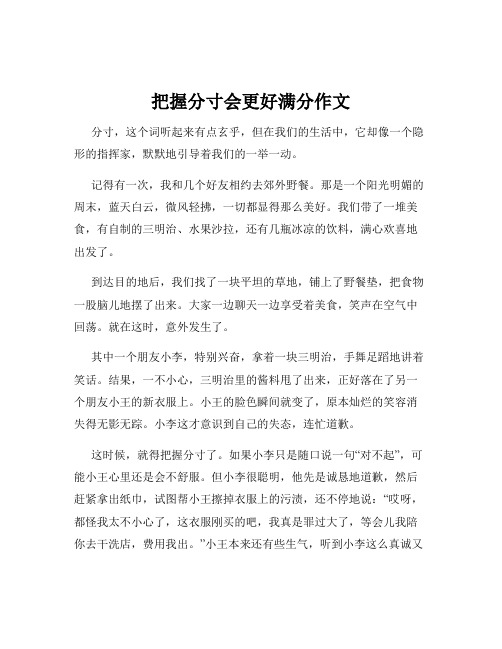 把握分寸会更好满分作文