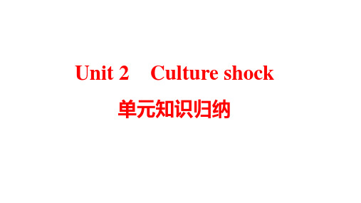 Unit2Cultureshock课件牛津深圳版英语九年级下册