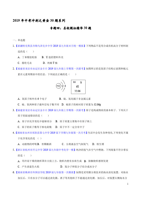 专题04 名校模拟精华30题-2019年中考化学走出题海之黄金30题系列(原卷版)