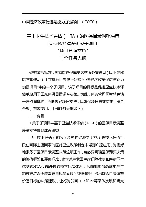 “项目管理支持”工作任务大纲(TOR)