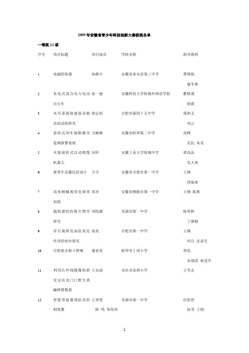 2009年安徽省青少年科技创新大赛获奖名单