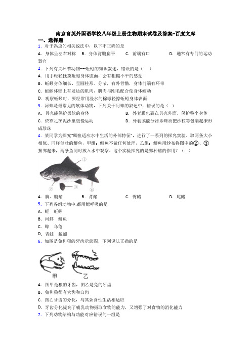 南京育英外国语学校八年级上册生物期末试卷及答案-百度文库