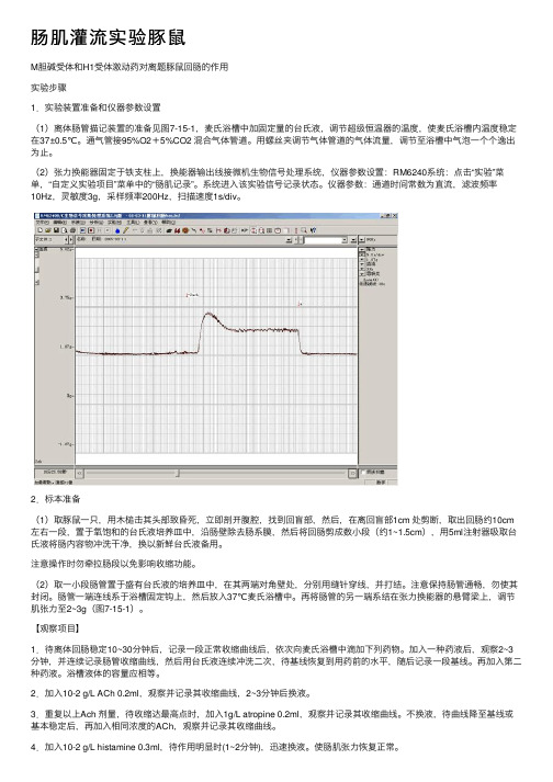 肠肌灌流实验豚鼠