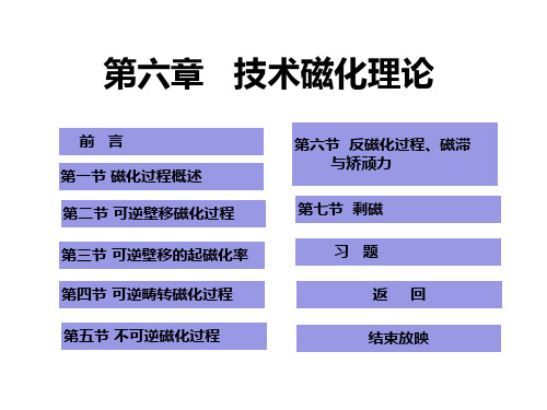 第六章---技术磁化理论