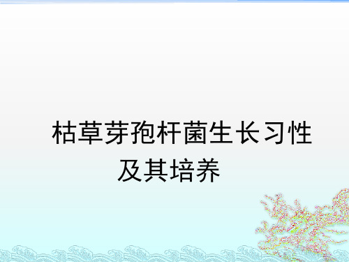 枯草芽孢杆菌习性及其培养