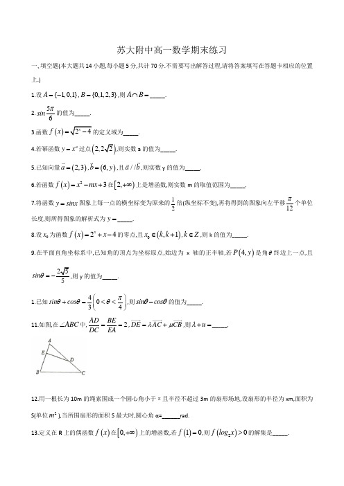 江苏省苏州大学附属中学2019-2020学年第一学期高一数学期末练习试卷