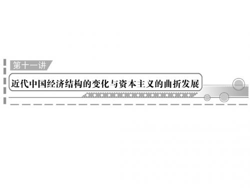 2012年高中历史学业水平测试课件：第11讲近代中国经济结构的变化与资本主义的曲折发展