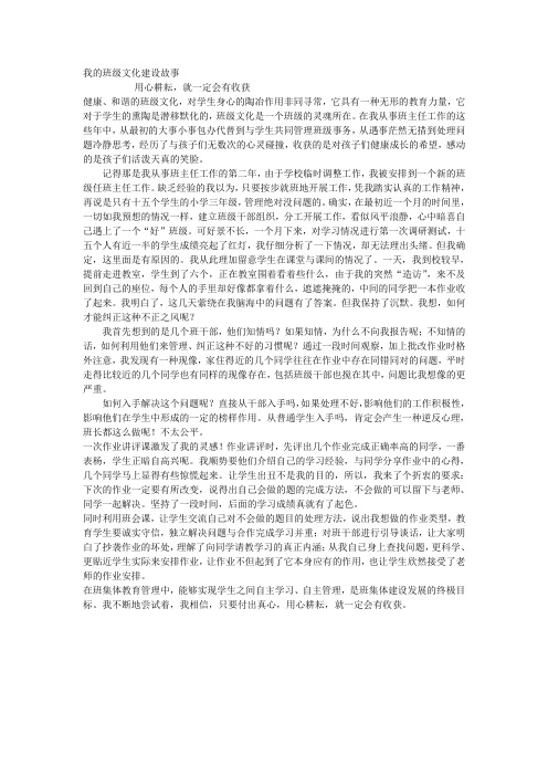 我的班级文化建设故事