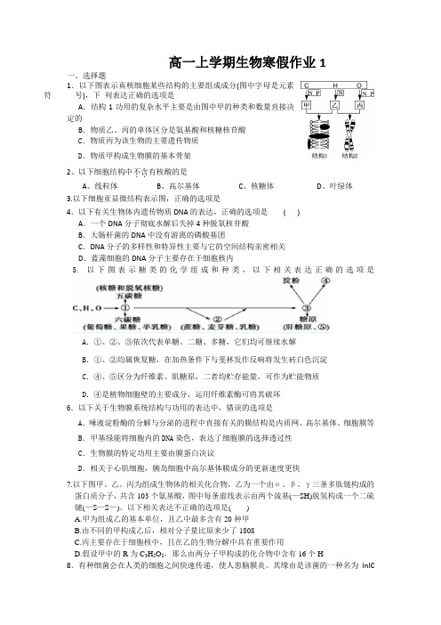 高一上学期生物寒假作业1