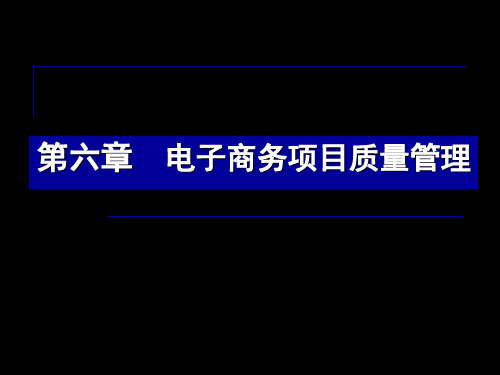 第六章电子商务项目质量管理